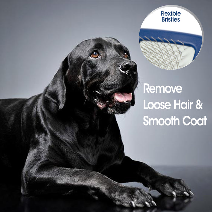 Four Paws Magic Coat Professional Series Slicker Brush for Dogs