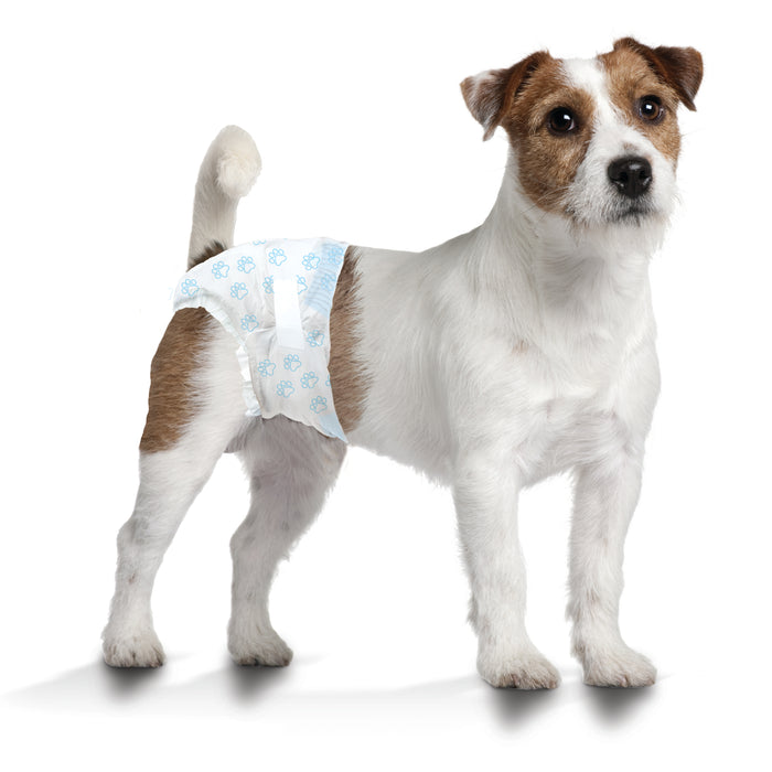 Four Paws Wee-Wee Disposable Dog Diapers Small (12 Count)