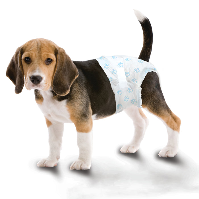 Four Paws Wee-Wee Disposable Dog Diapers Medium (12 Count)