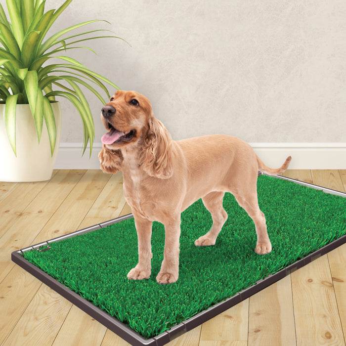 Four Paws Wee-Wee Premium Patch Pet Potty System Expansion Kit