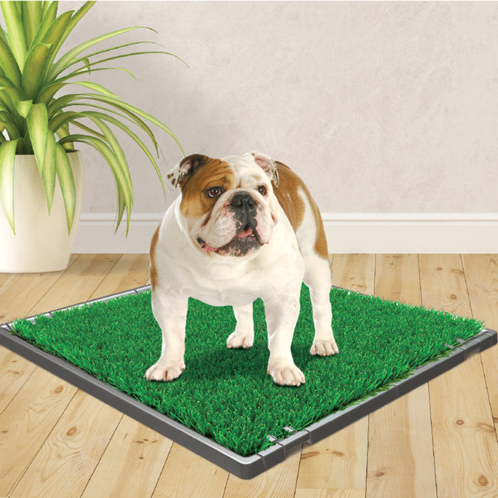 Four Paws Wee-Wee Premium Patch Grass Mat for Dogs