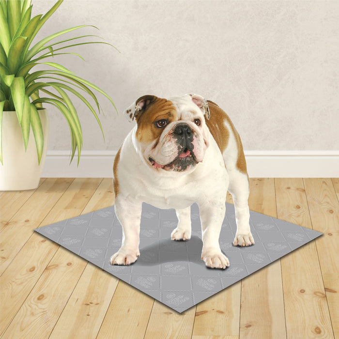 Four Paws Wee-Wee Premium Patch Washable Pee Pad for Dogs Premium Patch (Washable Pad)