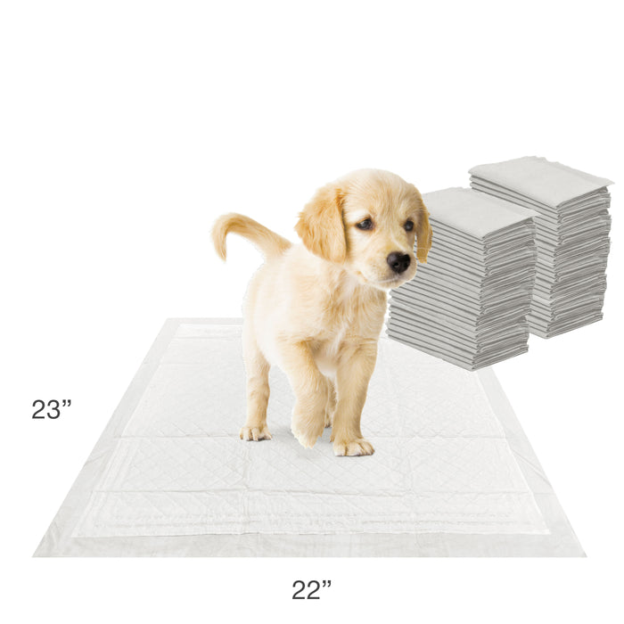 Four Paws Wee-Wee Super Absorbent Dog Pee Pads with Insta-Rise® Border 22" x 23" (50 Count)