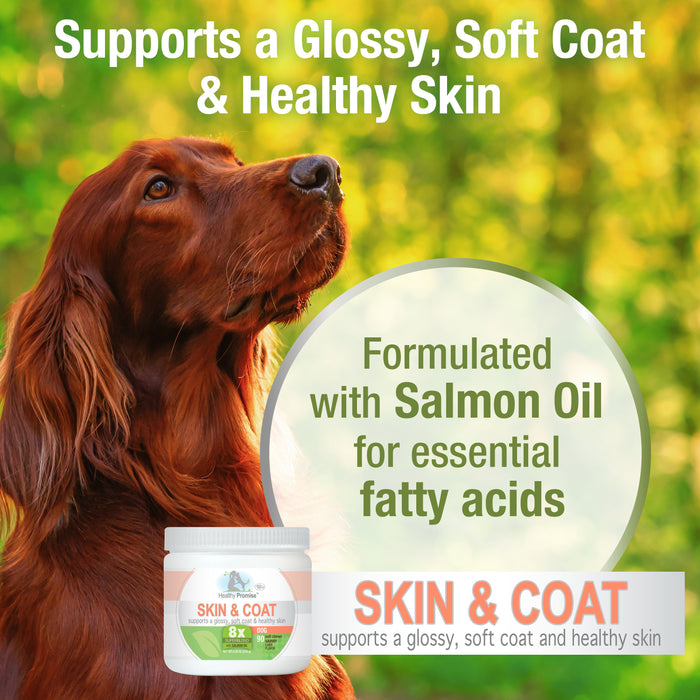 Four Paws Healthy Promise Dog Supplements for Skin and Coat Soft Chews Savory Liver 8.26 Ounce (90 Count)