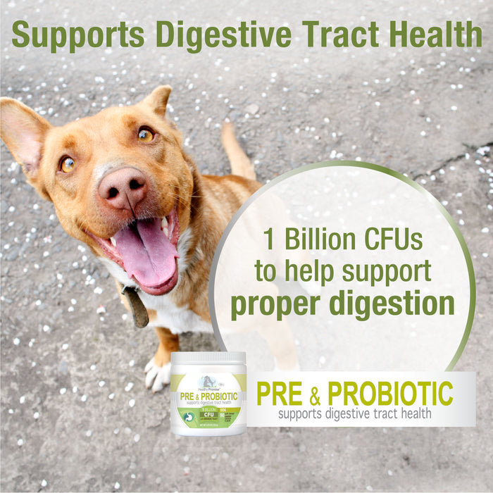 Four Paws Healthy Promise® Pre & Probiotics For Dogs Savory Chicken 4.76 Ounce (90 Count)