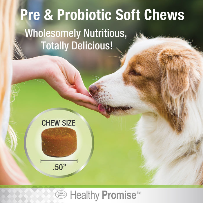 Four Paws Healthy Promise® Pre & Probiotics For Dogs Savory Chicken 4.76 Ounce (90 Count)