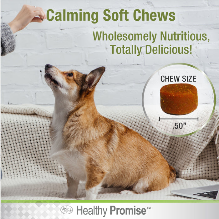Four Paws Healthy Promise Calming Chews for Dogs Savory Liver 4.76 Ounce (90 Count)