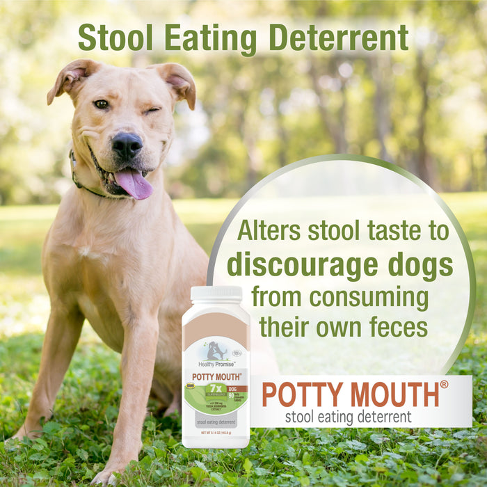 Four Paws Healthy Promise Potty Mouth Tablets - Coprophagia Stool Eating Deterrent for Dogs 5.14 Ounce (90 Count)