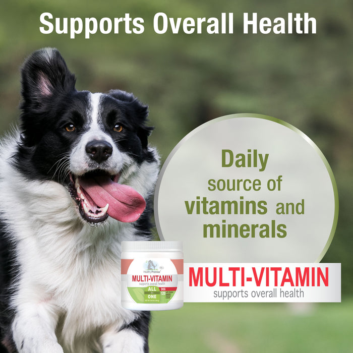 Four Paws Healthy Promise Dog Multivitamin Soft Chews Savory Chicken 5.08 Ounce (120 Count)