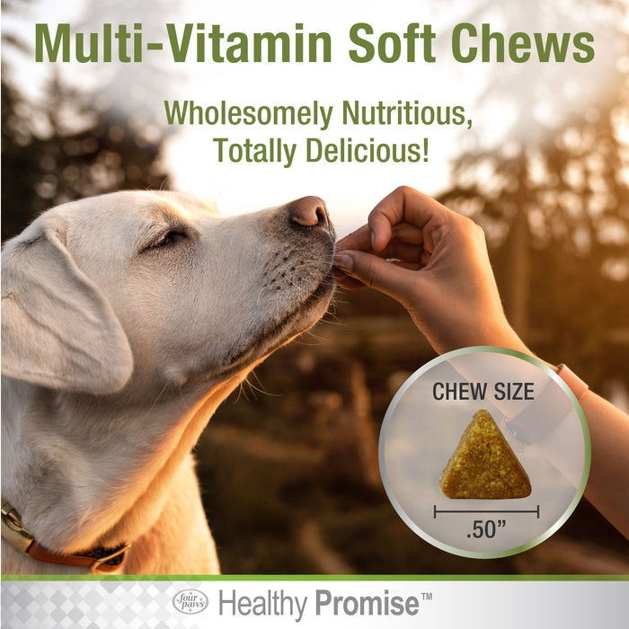 Four Paws Healthy Promise Dog Multivitamin Soft Chews Savory Chicken 5.08 Ounce (120 Count)
