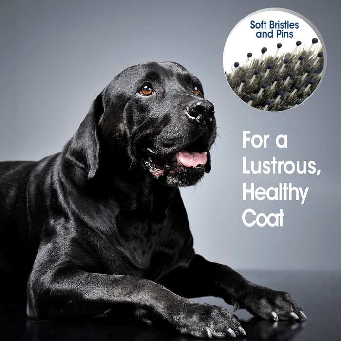 Four Paws Magic Coat Professional Series Comfort & Contour Pin and Bristle Brush for Dogs