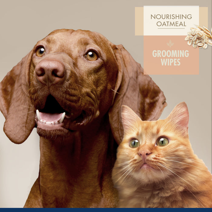 Four Paws Magic Coat Professional Series Grooming Wipes 100ct