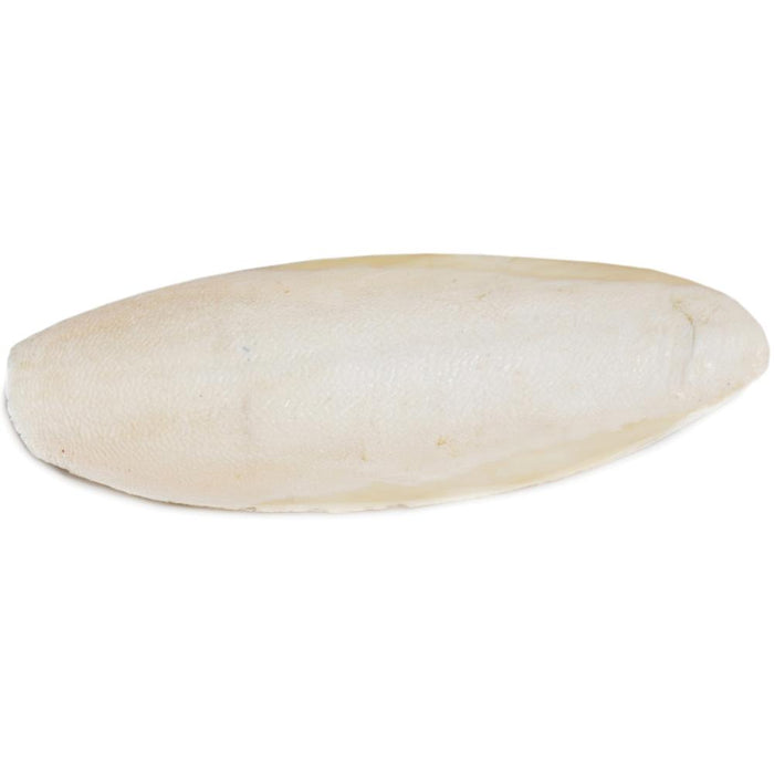 Prevue Pet Products Bulk Cuttlebone for Birds, 25pc box