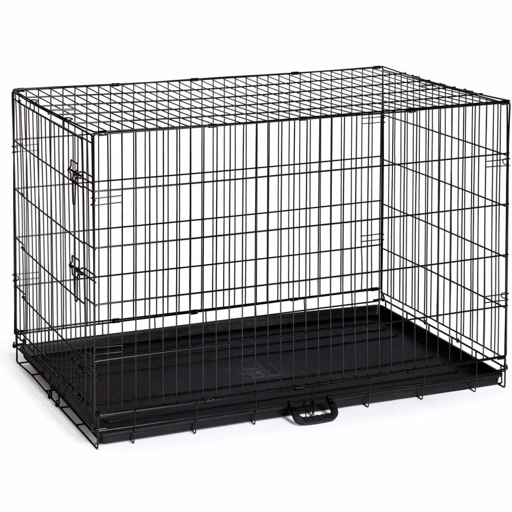 Shop For Dogs