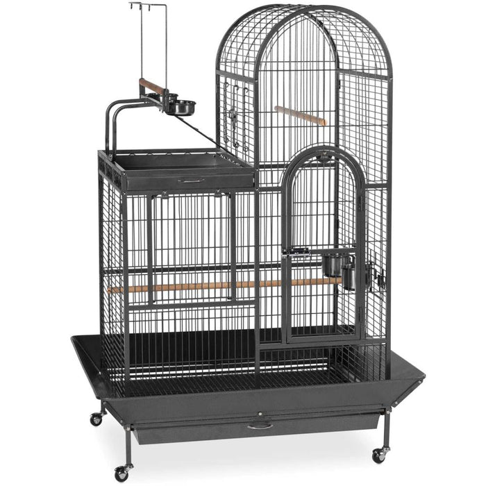 Prevue Pet Products Deluxe Parrot Double Roof Bird Cage with Playtop, Black