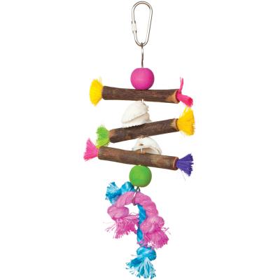 Prevue Pet Products Playfuls Shells & Sticks Bird Toy