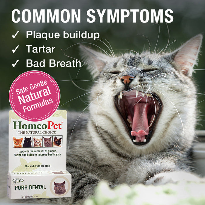 HomeoPet Feline Purr Dental for Cats 0.51 Fl. oz