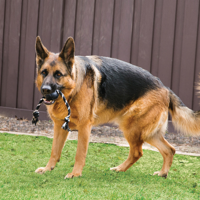 KONG Extreme Ball with Rope Dog Toy Black/White LG - 6 - Image 9