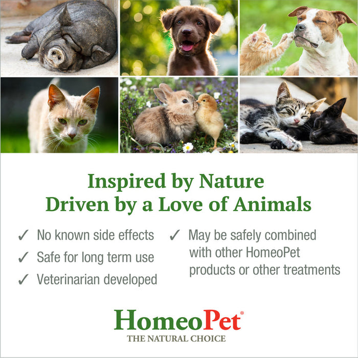 HomeoPet Feline Purr Dental for Cats 0.51 Fl. oz