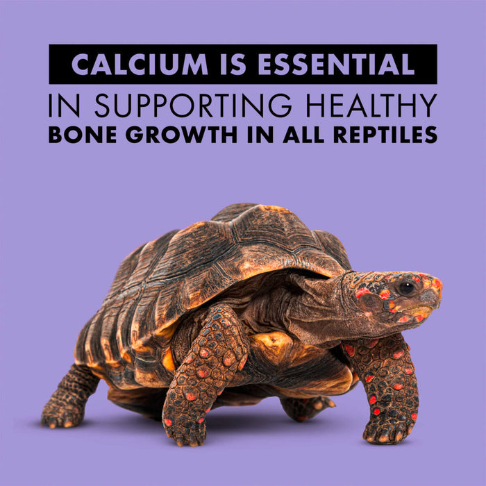 Zilla Calcium Supplement Spray for Reptiles 8 oz.