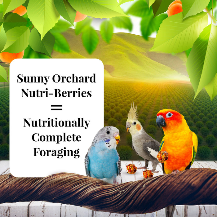 Lafeber Company Sunny Orchard Nutri-Berries Cockatiel Food 10oz