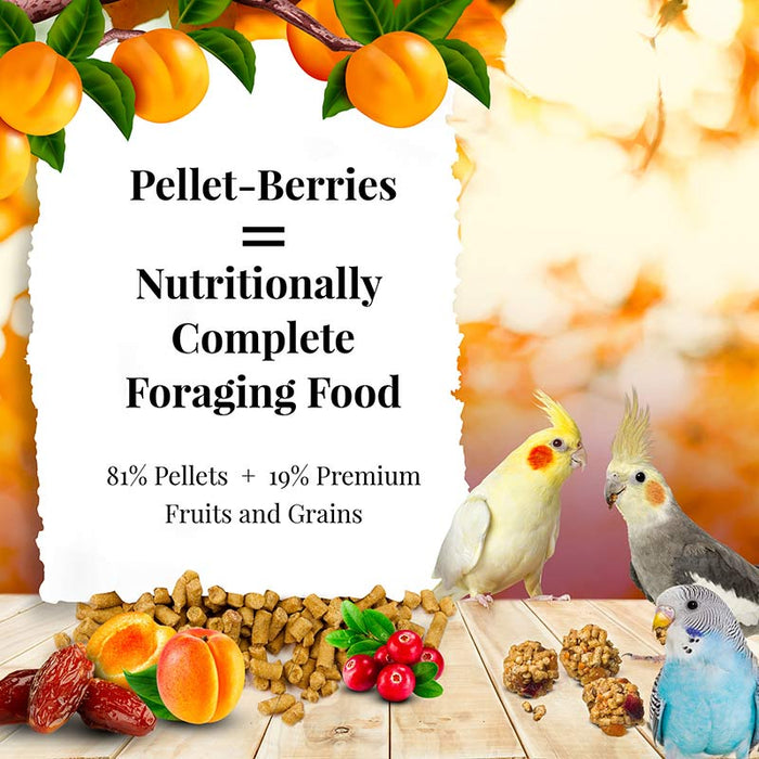 Lafeber Company Pellet-Berries Sunny Orchard Cockatiel Food 10oz