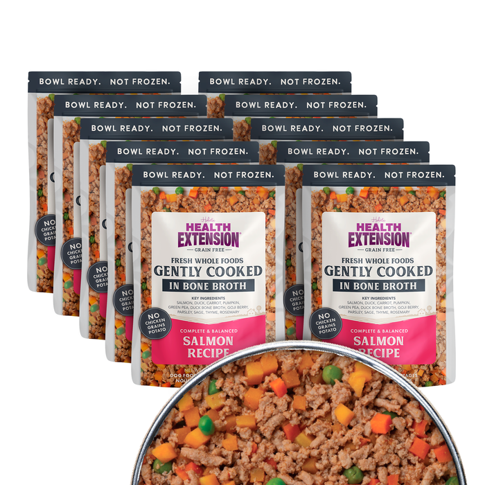 Health Extension Gently Cooked Grain Free Salmon Recipe - 13 - Image 17