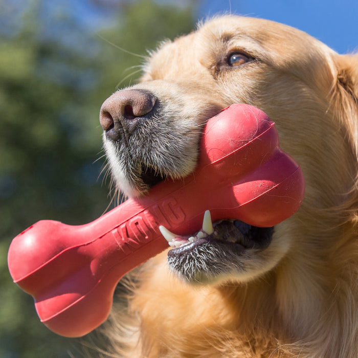 KONG Goodie Bone Dog Toy MD - 8 - Image 11