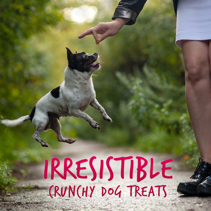 Fruitables Skinny Minis Soft Dog Treats Watermelon 5oz