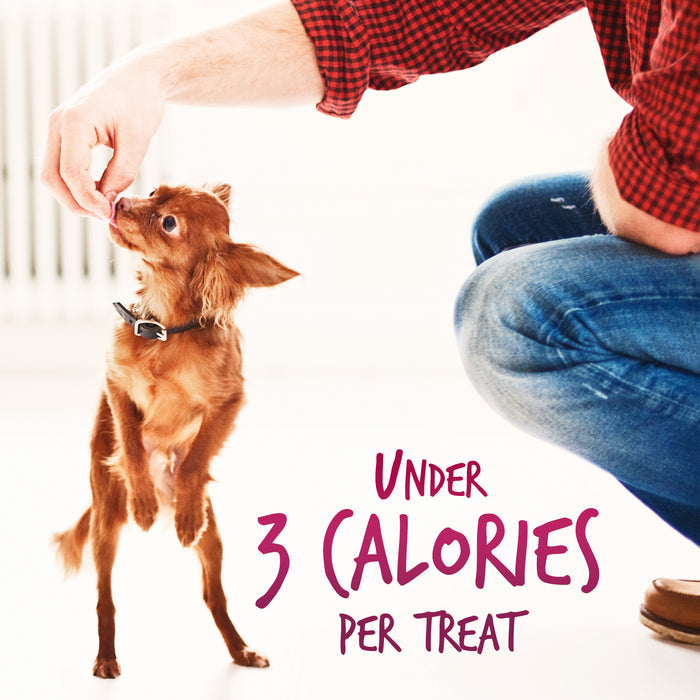 Fruitables Skinny Minis Soft Dog Treats Watermelon 5oz