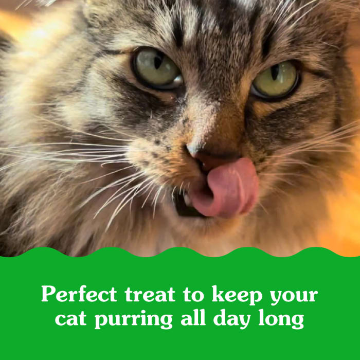 Greenies Feline SmartBites Skin & Fur Crunchy & Soft Adult Cat Treats Chicken 2.1oz