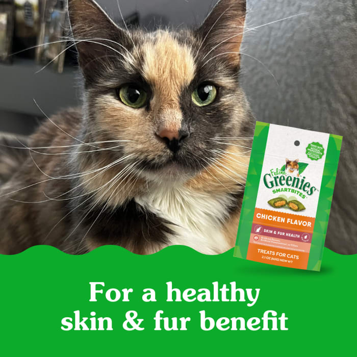 Greenies Feline SmartBites Skin & Fur Crunchy & Soft Adult Cat Treats Chicken 2.1oz