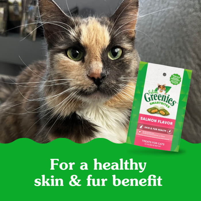 Greenies Feline SmartBites Skin & Fur Crunchy & Soft Adult Cat Treats Salmon 2.1oz