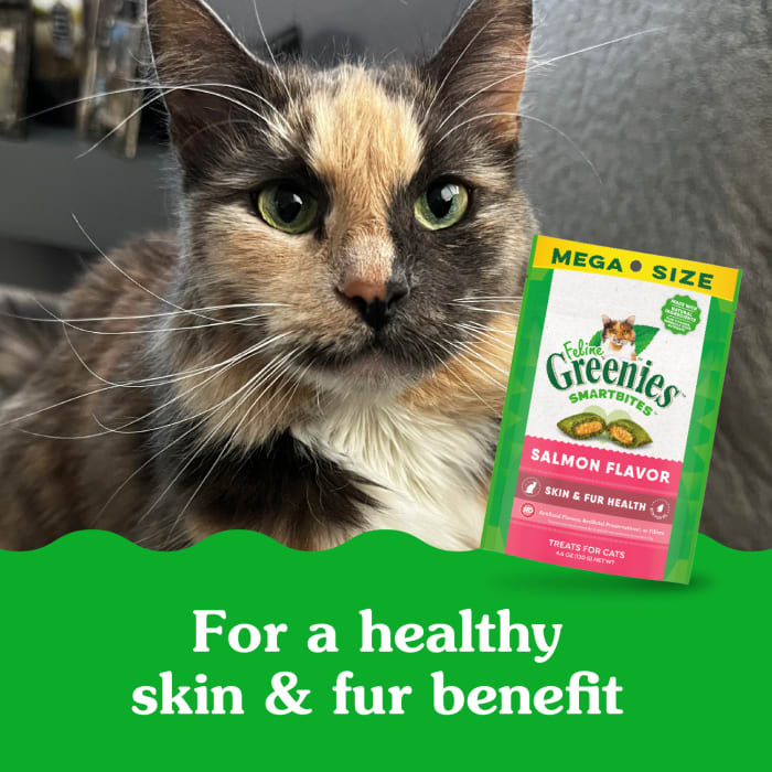 Greenies Feline SmartBites Skin & Fur Crunchy & Soft Adult Cat Treats Salmon 4.6oz