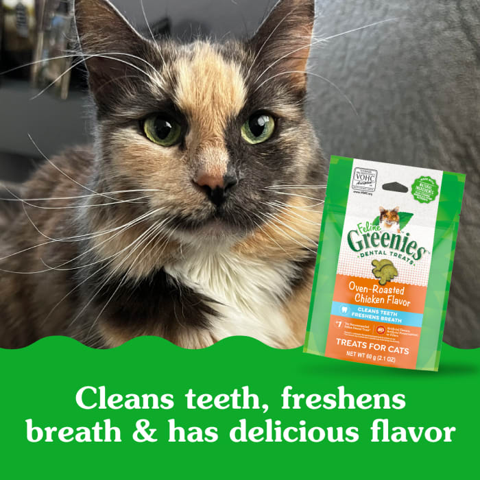Greenies Feline Adult Cat Dental Treats Oven Roasted Chicken 2.1oz