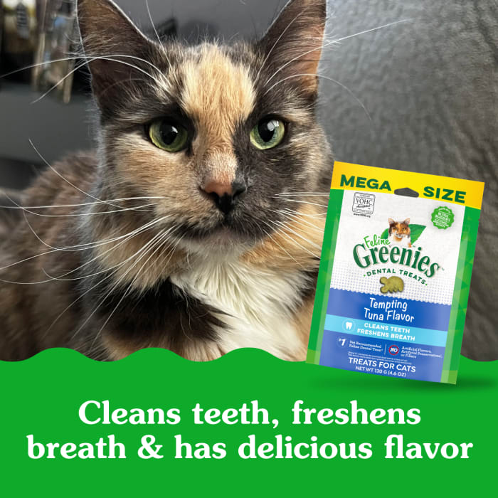 Greenies Feline Adult Cat Dental Treats Tempting Tuna 4.6oz