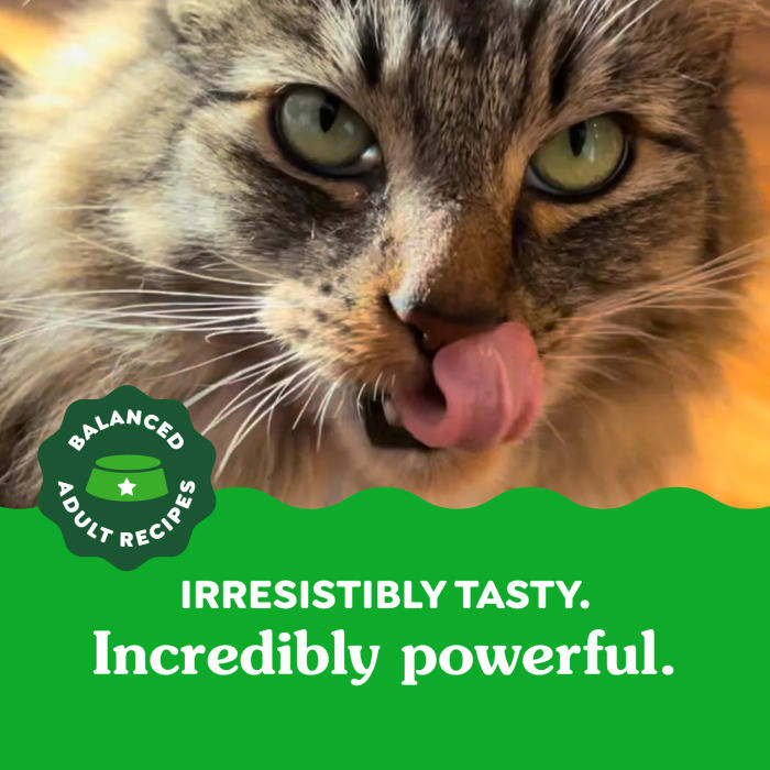 Greenies Feline Adult Cat Dental Treats Tempting Tuna 2.1oz