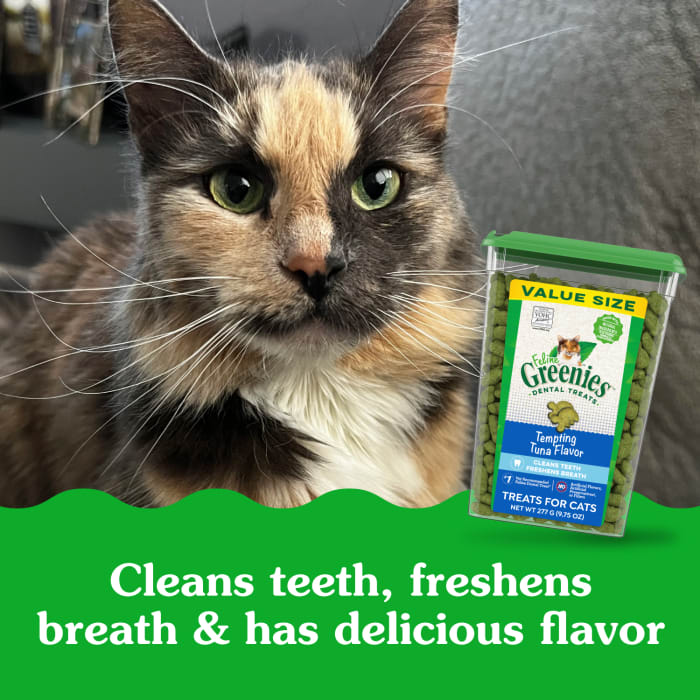Greenies Feline Adult Cat Dental Treats Tempting Tuna 9.75oz