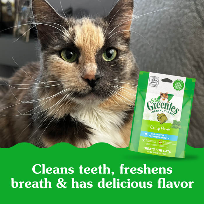 Greenies Feline Adult Cat Natural Dental Treats Catnip 2.1oz