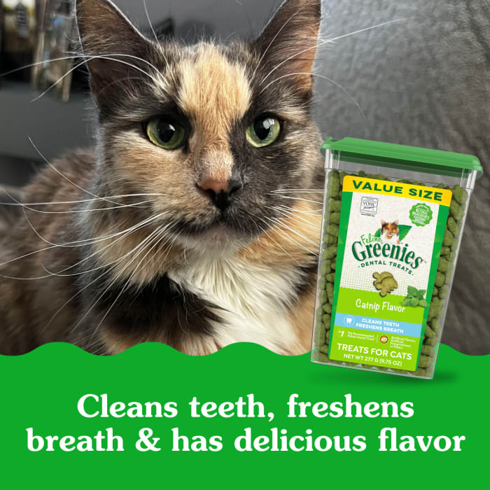 Greenies Feline Adult Cat Natural Dental Treats Catnip 9.75oz