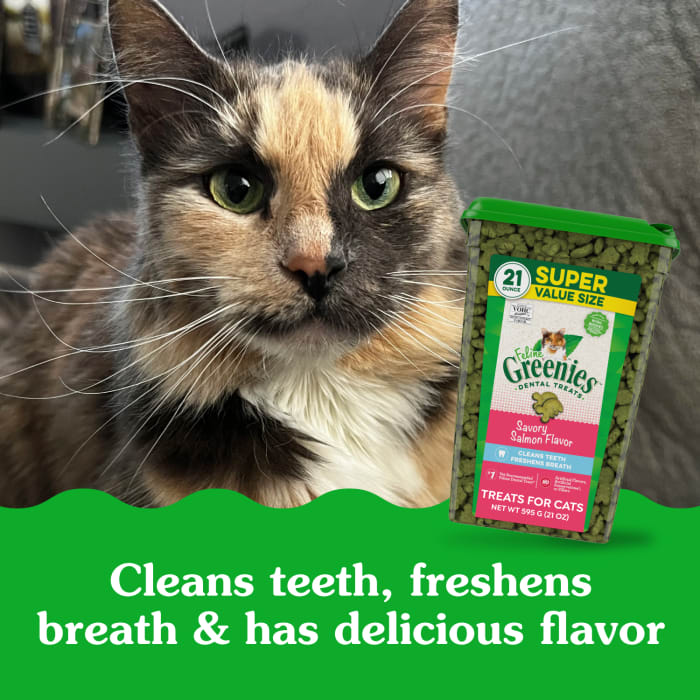 Greenies Feline Adult Cat Dental Treats Savory Salmon 21oz