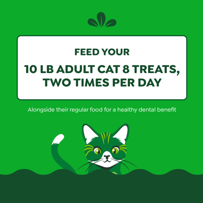 Greenies Feline Adult Cat Natural Dental Treats Catnip 21oz