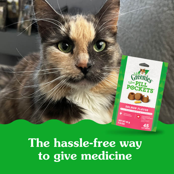 Greenies Feline Pill Pockets Natural Soft Cat Treats Salmon 1.6oz (45 Treats)