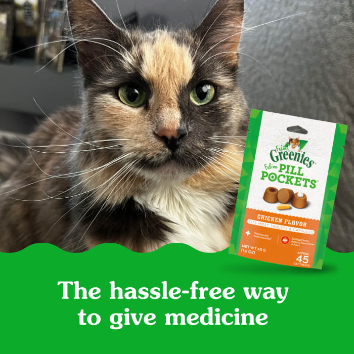 Greenies Feline Pill Pockets Natural Soft Cat Treats Chicken 1.6oz (45 Treats)