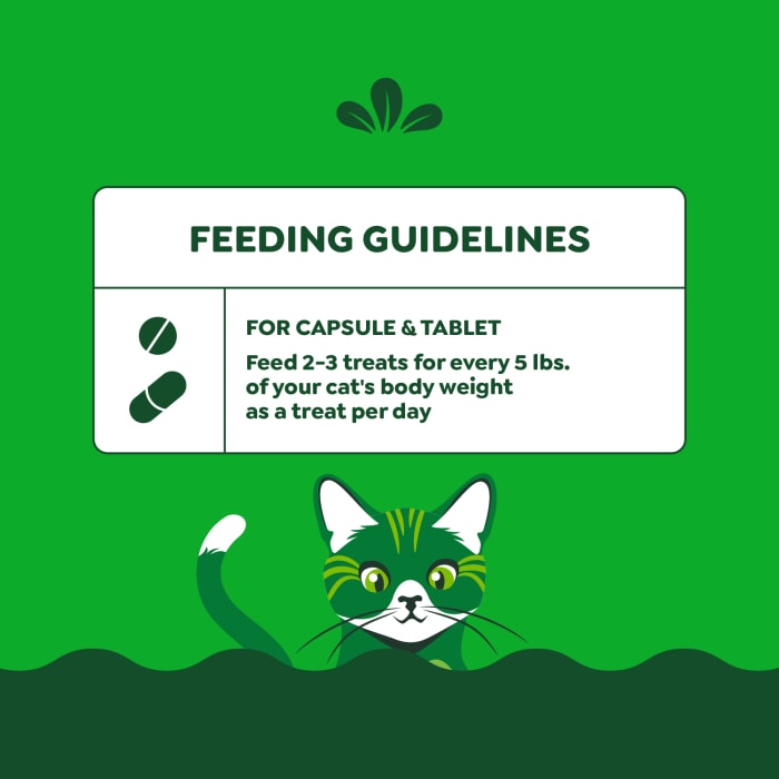 Greenies Feline Pill Pockets Natural Soft Cat Treats Catnip 1.6oz (45 Treats)