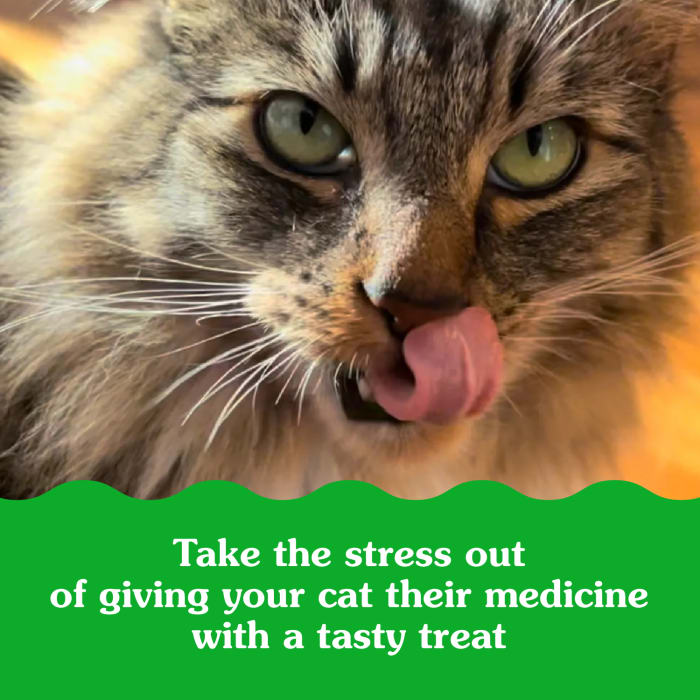 Greenies Feline Pill Pockets Natural Soft Cat Treats Catnip 1.6oz (45 Treats)