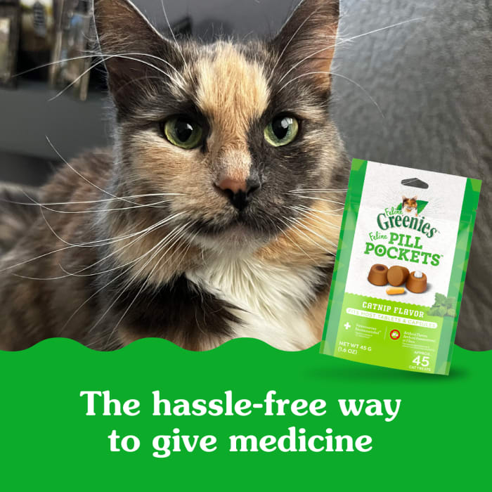 Greenies Feline Pill Pockets Natural Soft Cat Treats Catnip 1.6oz (45 Treats)