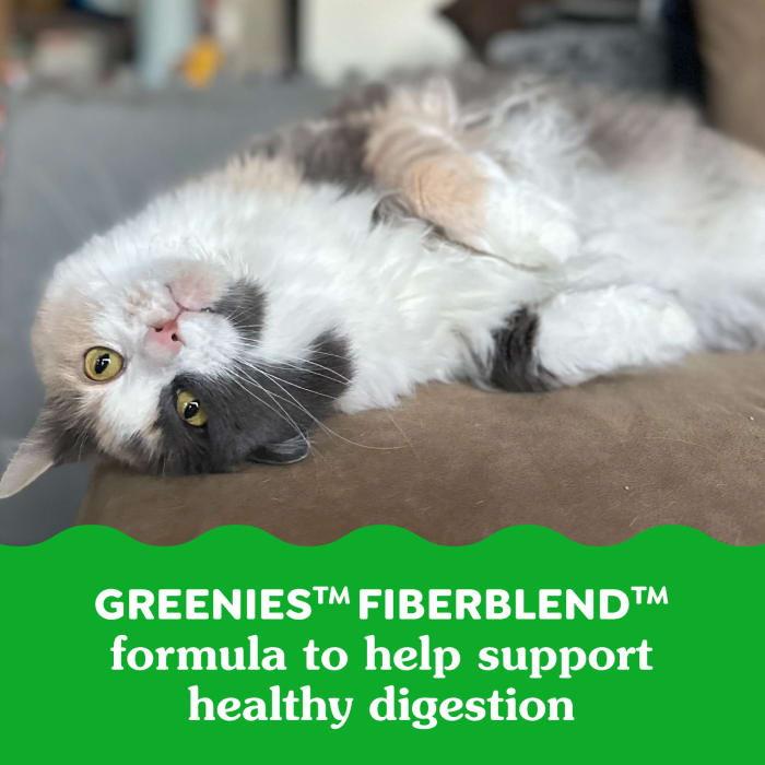 Greenies Feline SmartBites Healthy Indoor Cat Natural Treats Tuna 2.1 oz