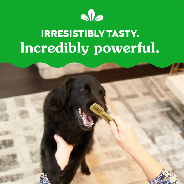 Greenies Weight Management Dog Natural Dental Treats Regular 27oz (27 Treats)