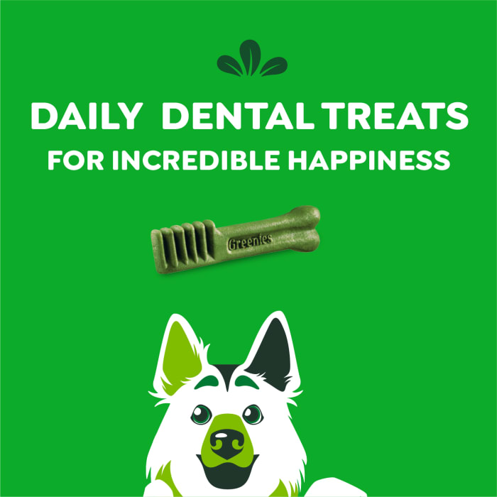 Greenies Dog Natural Dental Treats Large Original 6oz (4 Treats)